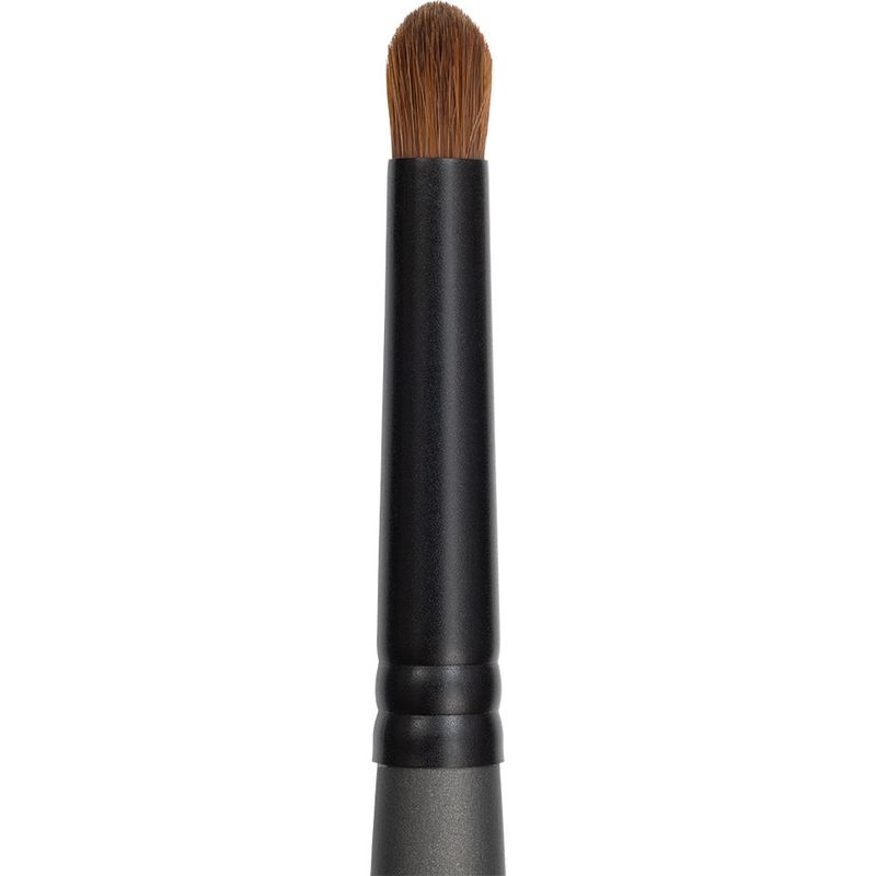 Artist Brush Eye Shadow # 2